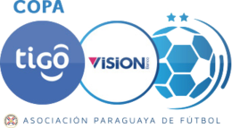 Official logo of Division Profesional