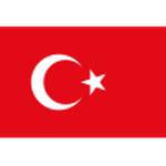 Official logo of Türkiye football club