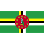Official logo of Dominica U20 football club