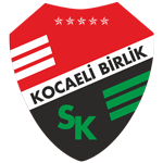 Official logo of Körfez Spor football club