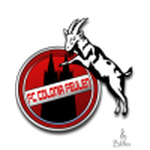 Official logo of US Feulen football club