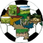 Official logo of Bumamuru football club