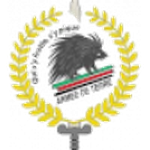 Official logo of Adjidja football club