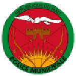 Official logo of Police football club