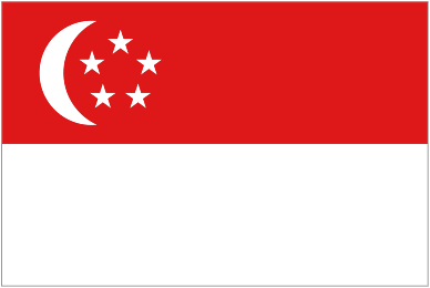 Official logo of Singapore U23 football club
