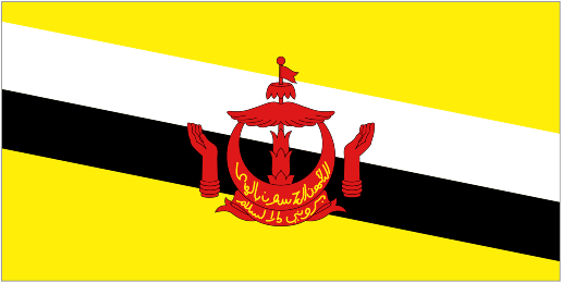 Official logo of Brunei football club