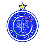 Official logo of Blue Eagles football club