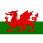 Official logo of Wales U19 football club