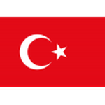Official logo of Turkey U19 football club