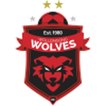 Official logo of Wolves football club