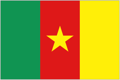 Official logo of Cameroon U20 football club