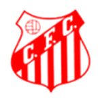 Official logo of Capivariano U20 football club