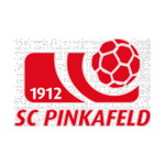 Official logo of Pinkafeld football club