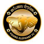 Official logo of Young Elephant football club