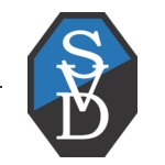 Official logo of Donau football club