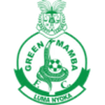 Official logo of Green Mamba football club