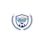 Official logo of Anduud City football club