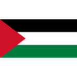 Official logo of Palestine football club