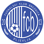 Official logo of Breznica football club