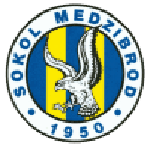 Official logo of Sokol Medzibrod football club
