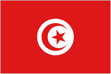 Official logo of Tunisia U21 football club