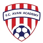 Official logo of Ararat-Armenia football club