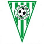 Official logo of Nyírbátori football club