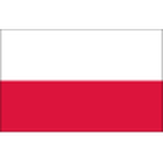 Official logo of Poland football club