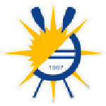Official logo of Palmas football club