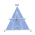 Official logo of New Star football club