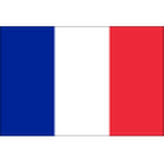 Official logo of France football club