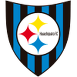 Official logo of Huachipato football club