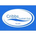 Official logo of Cribbs football club