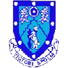 Official logo of Rugby Town football club