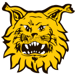 Official logo of Ilves 2 football club