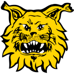 Official logo of Ilves football club