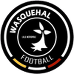 Official logo of Wasquehal football club