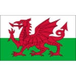 Official logo of Wales football club