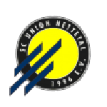 Official logo of Union Nettetal football club