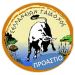 Official logo of Sellana football club