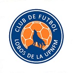 Official logo of UPNFM football club
