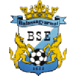 Official logo of BSE football club
