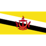 Official logo of Brunei football club