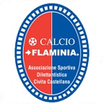 Official logo of Flaminia football club