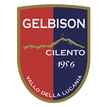 Official logo of Gelbison football club