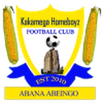 Official logo of Homeboyz football club