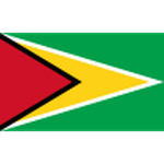 Official logo of Guyana football club