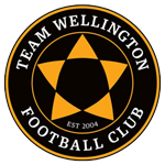 Official logo of Team Wellington football club