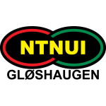 Official logo of NTNUI football club