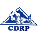 Official logo of Rabo Peixe football club